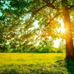 هواشناسی تهران؛ پیش‌بینی وضعیت هوای تهران در ۲۲ خرداد