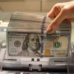 دستور فرزین برای تخصیص یک میلیارد دلار واردات کالاهای اساسی