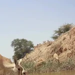 تلاش فعالان محیط زیست برای آبرسانی به حیات وحش خوزستان