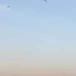 پودر شدن عجیب پهپاد اوکراینی با سلاح ناشناخته روسی
