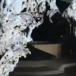 گزارشی از ساختمان صداوسیما پس از حمله روز گذشته اسرائیل