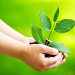جایگاه تو در جهان کجاست؟ ۷ راه طلایی برای یافتن معنای زندگی