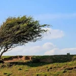 وزش باد شدید و رگبار در انتظار برخی استانها