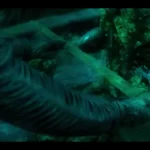 Nautilus؛ سریال علمی-تخیلی جدید با الهام از رمان «۲۰,۰۰۰ فرسنگ زیر دریا» + ویدئو
